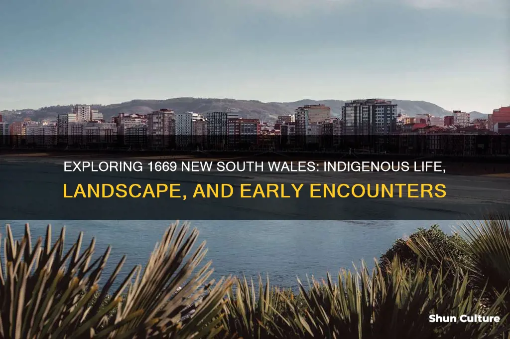 what was new south wales australia like in 1669