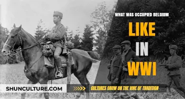 Life Under Siege: A Glimpse into Occupied Belgium During WWI