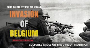 Devastation and Resistance: Belgium's Ordeal During the German Invasion