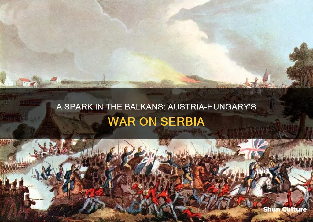 what was one reason austria hungary declared war on serbia