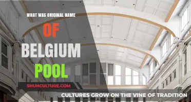 Unveiling the Origins: The Surprising History of Belgium's Pool