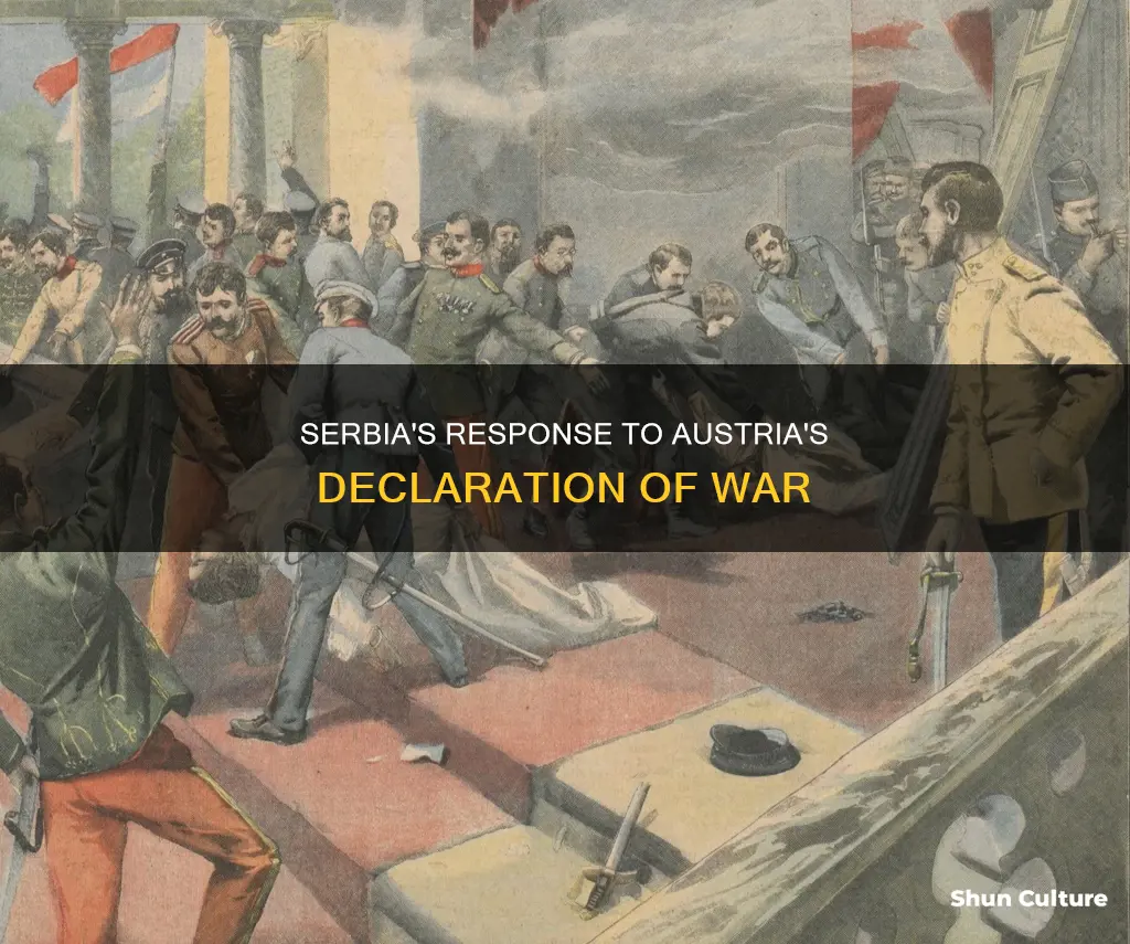 what was serbia reaction to austria declaration of war