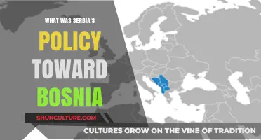 Serbia's Bosnia Policy: Historical Context, Strategies, and Regional Impact
