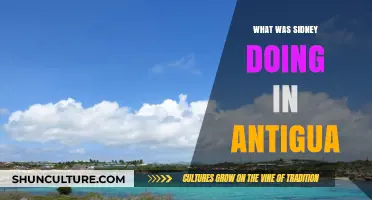 Sidney's Antigua Adventure: Uncovering Her Surprising Caribbean Activities