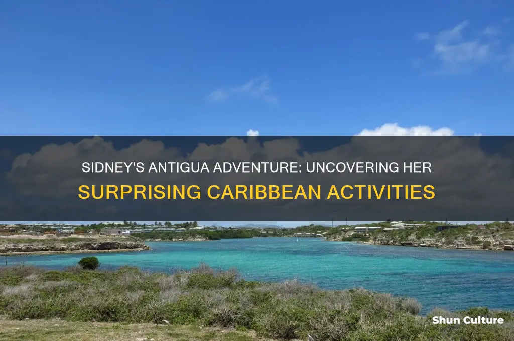 what was sidney doing in antigua