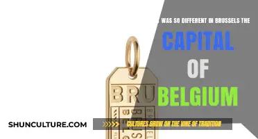 Exploring Brussels: Unveiling the Unique Charms of Belgium's Capital