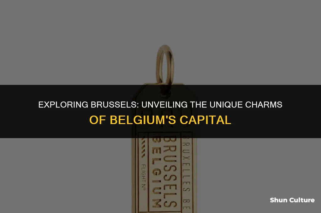 what was so different in brussels the capital of belgium