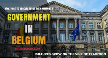 Exploring Belgium's Unique Community Government: A Model of Unity