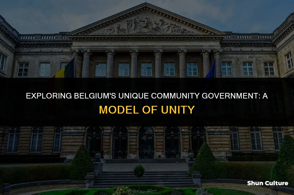 what was so special about the community government in belgium