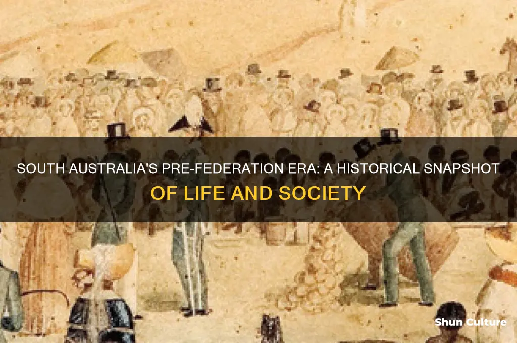 what was south australia like before federation