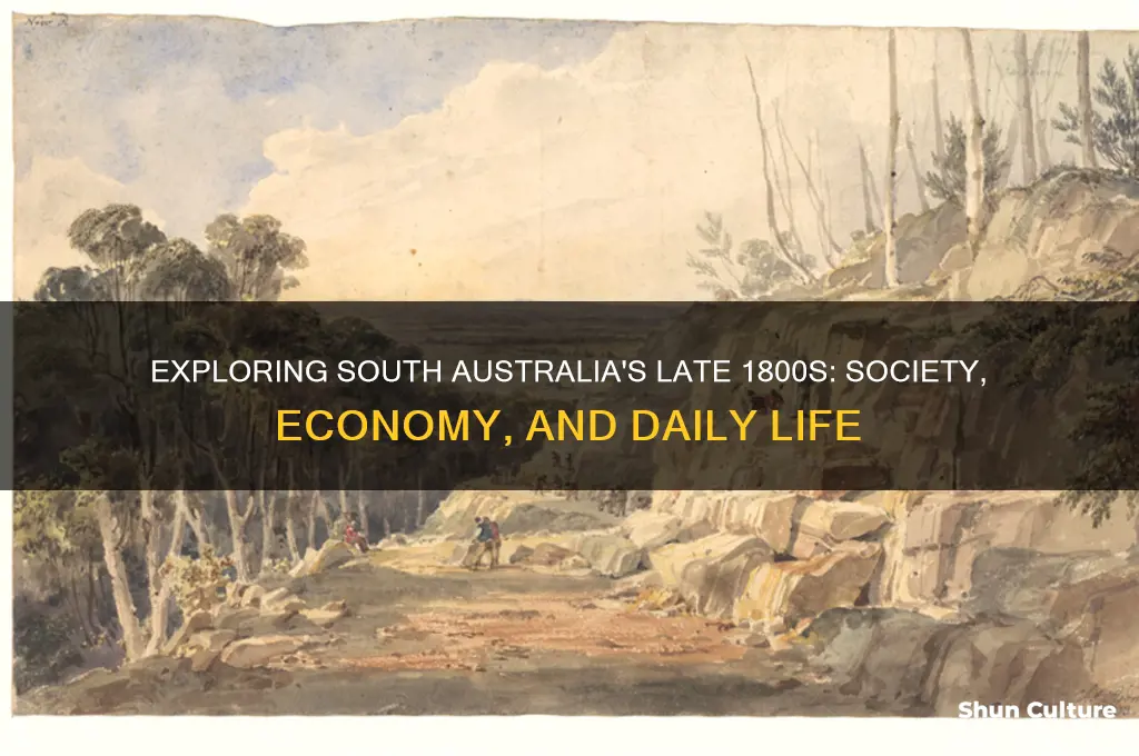 what was south australia like in the late 1800s