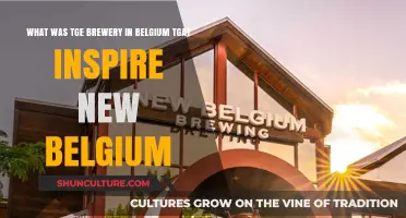 Brewing Inspiration: The Belgian Legacy Behind New Belgium
