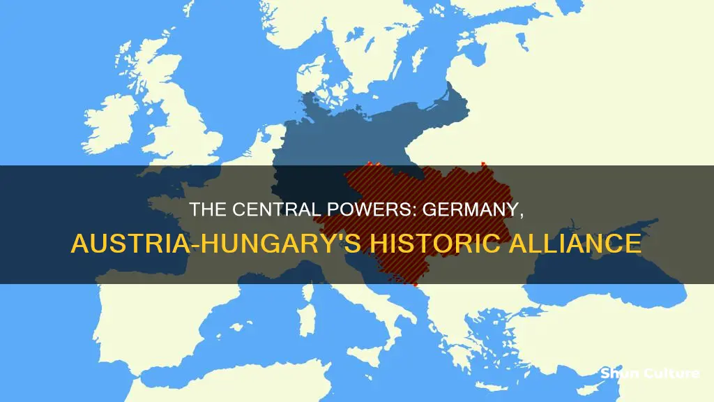 what was the alliance between germany and austria hungary called