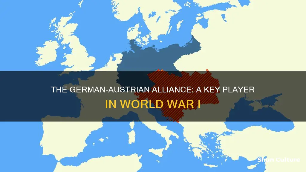 what was the alliance of german austria in ww1