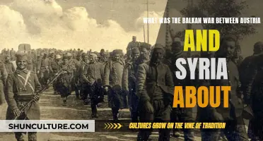 Austria-Syria Conflict: Balkan War Explained