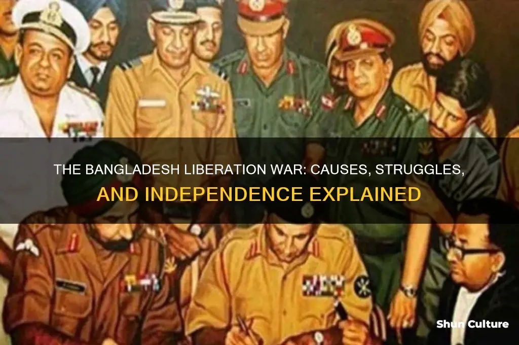 what was the bangladesh liberation war about