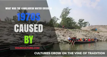 The 1970s Bangladesh Water Crisis: Causes and Devastating Impacts