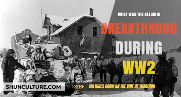 The Ardennes Offensive: Belgium's Pivotal Breakthrough in WWII