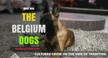 Unveiling the Mystery: The Enigmatic Tale of Belgium's Canine Companions