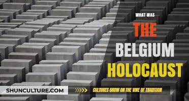 Unveiling the Horrors: Belgium's Holocaust History Remembered