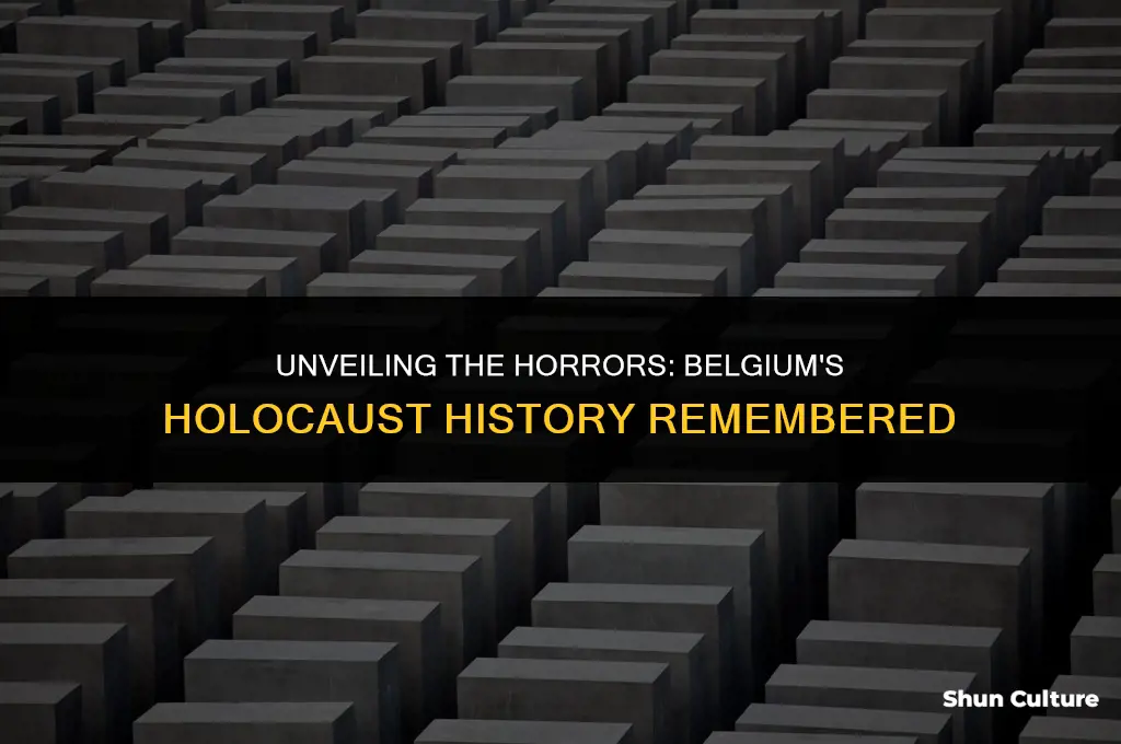 what was the belgium holocaust