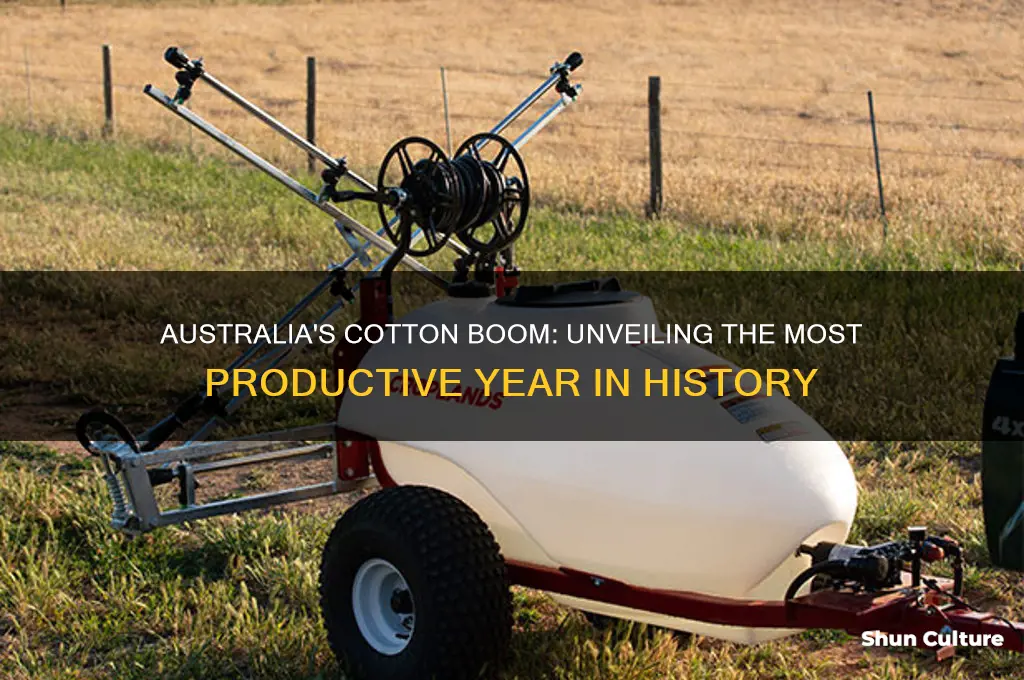 what was the best year for cotton growing in australia