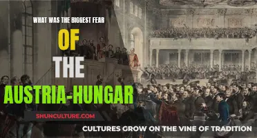 The Empire's Final Days: Unveiling Austria-Hungary's Greatest Anxiety