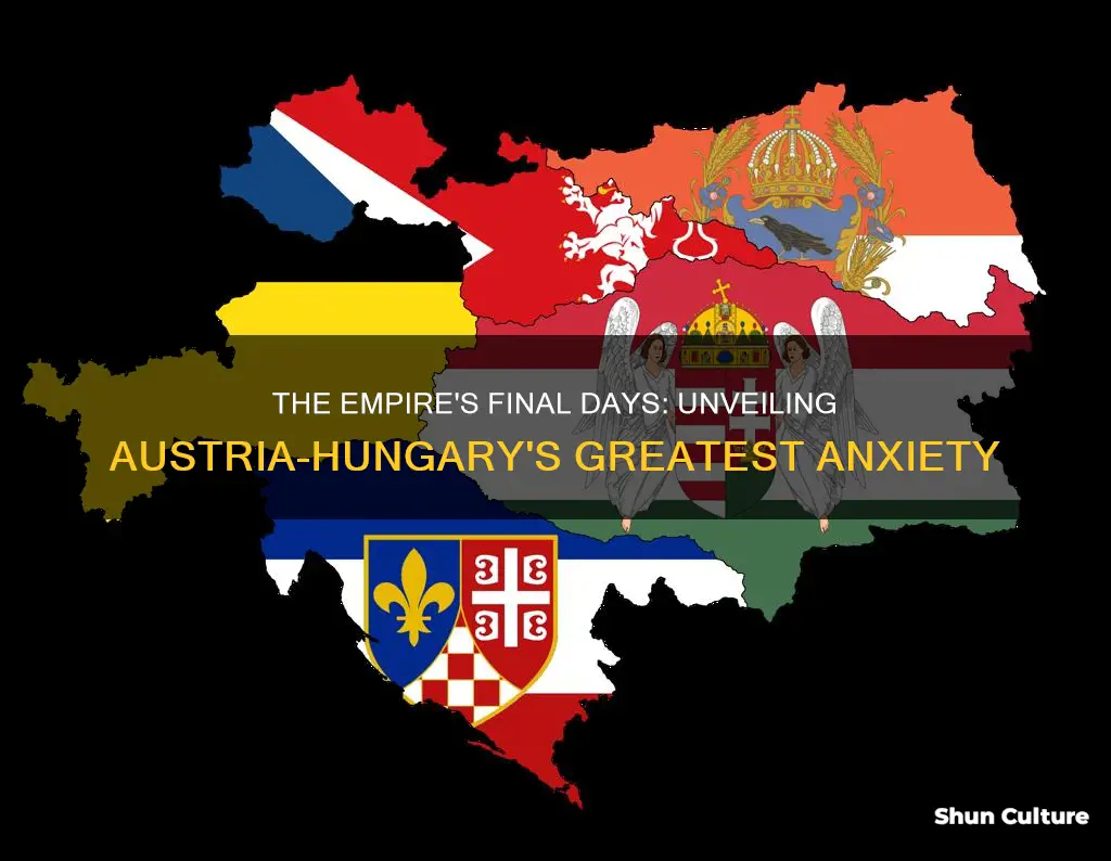 what was the biggest fear of the austria-hungarian