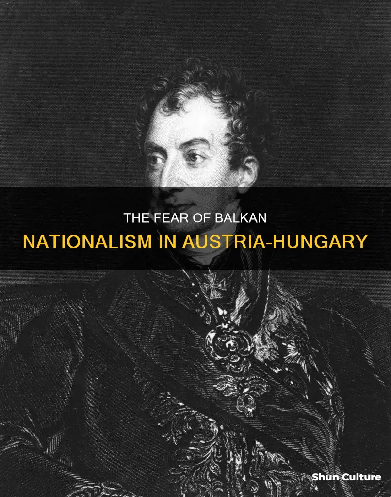 what was the biggest fear of the austria-hungarian