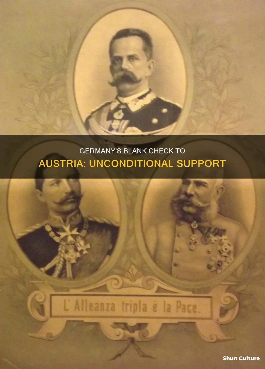 what was the blank check germany gave to austria