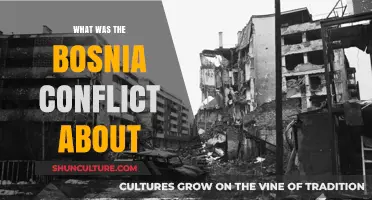 Understanding the Bosnia Conflict: Causes, Key Events, and Legacy