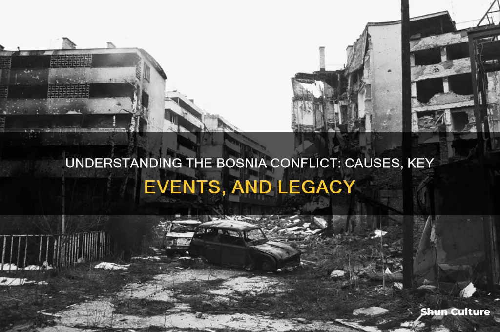 what was the bosnia conflict about