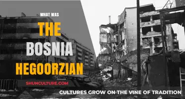 Understanding the Bosnia Herzegovina Conflict: Causes, Impact, and Legacy