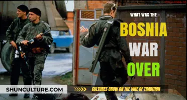 Understanding the Bosnia War: Causes, Conflict, and Consequences Explained