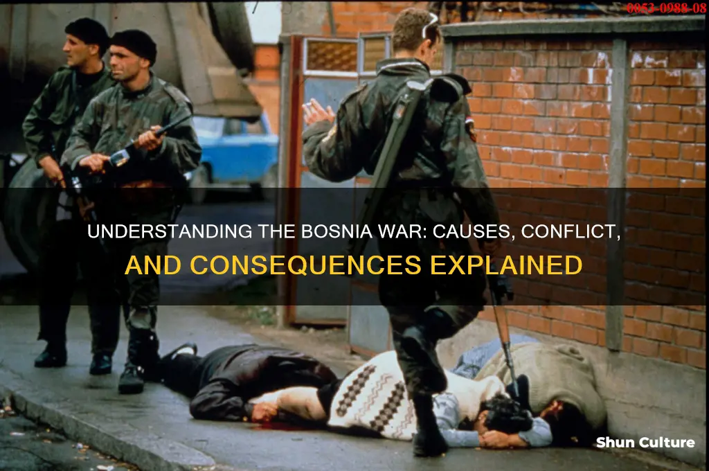 what was the bosnia war over