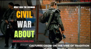 Understanding the Bosnian Civil War: Causes, Conflict, and Consequences