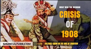 The Bosnian Crisis of 1908: A Spark Before the Great War