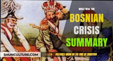 The Bosnian Crisis: A Concise Summary of Key Events