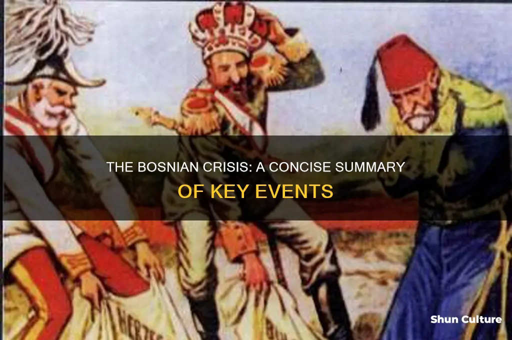what was the bosnian crisis summary
