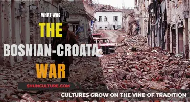 The Bosnian-Croat War: Causes, Conflict, and Consequences Explained