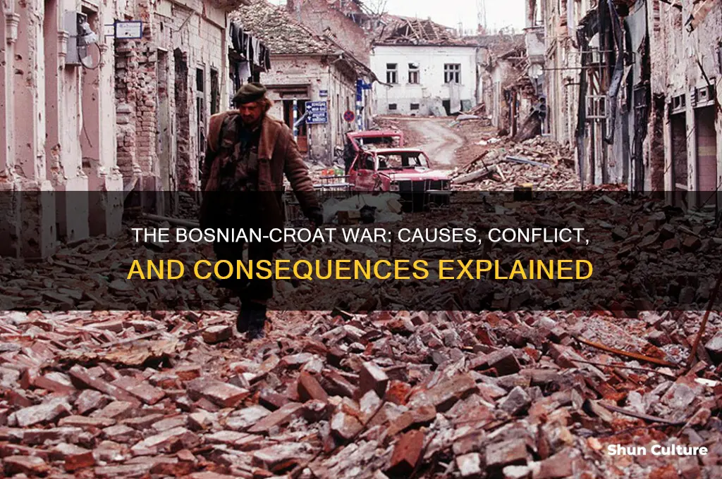 what was the bosnian-croatation war