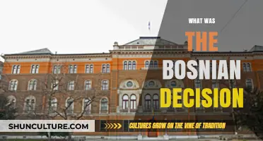 Understanding the Bosnian Decision: A Turning Point in International Law