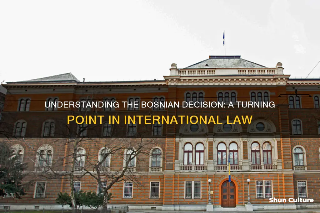 what was the bosnian decision