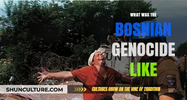 The Bosnian Genocide: A Devastating Chapter in History Unveiled