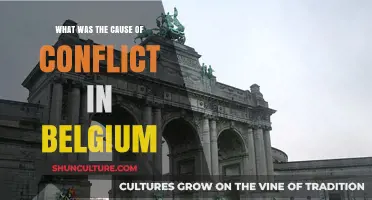 Unraveling the Complex Roots of Conflict in Belgium