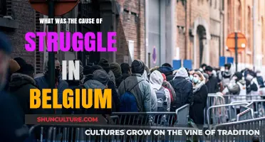Unraveling Belgium's Complex Struggles: A Historical Analysis