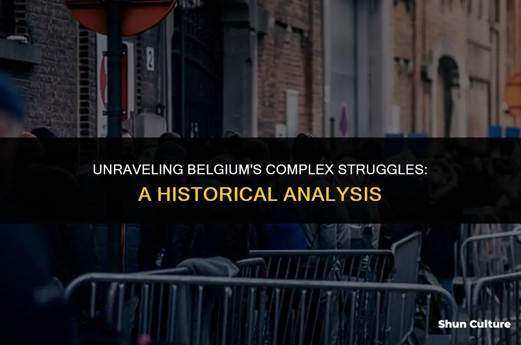 what was the cause of struggle in belgium