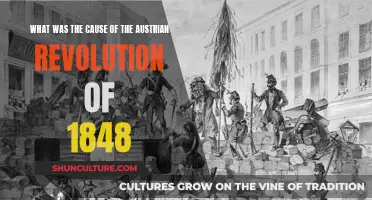 The Spark of Change: Austria's 1848 Revolution Explained