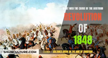 Spark of Austrian Revolution: Roots of 1848's Uprising