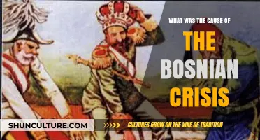 Unraveling the Bosnian Crisis: Key Triggers and Historical Context